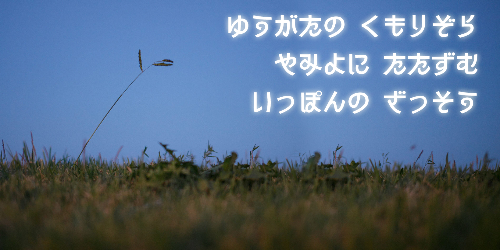 見本