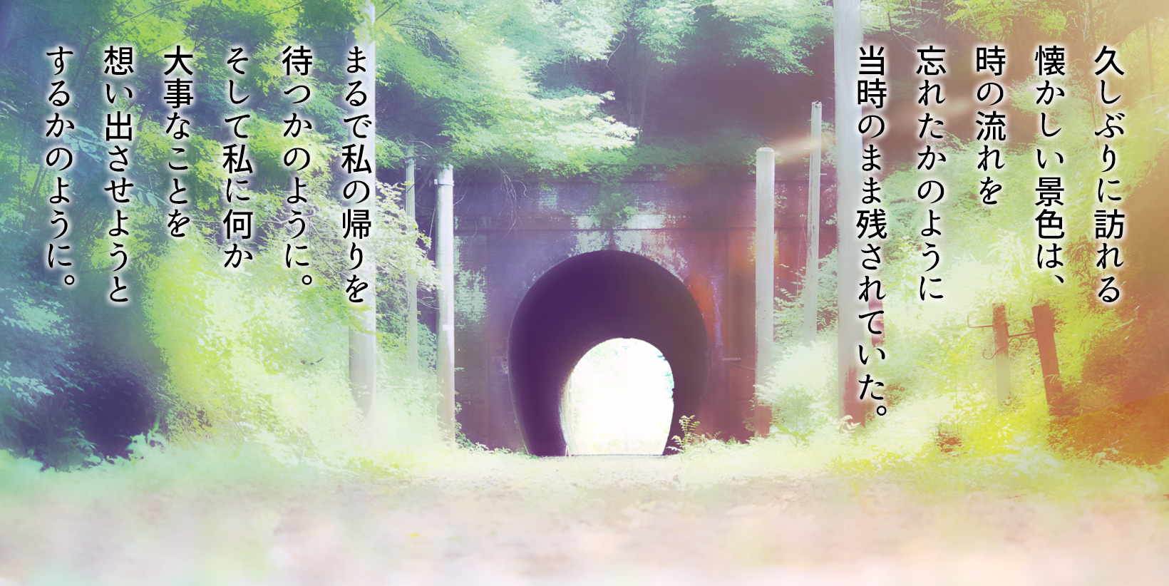 見本